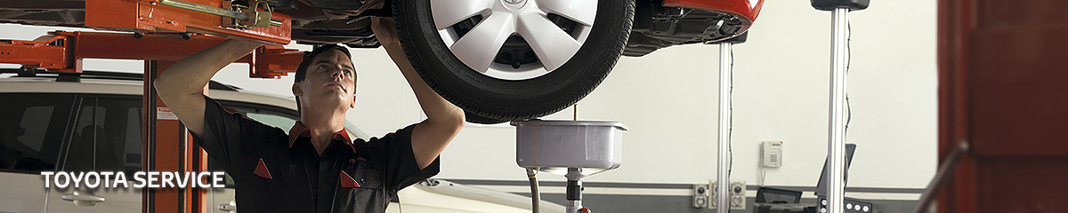 banner-2014-service Service